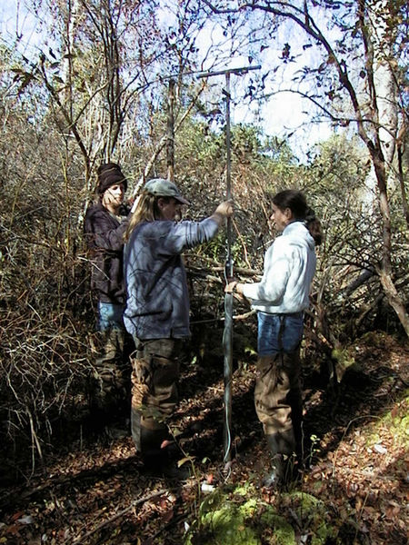 Tập tin:Pollen core sampling.jpg