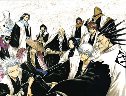 Tập tin:Bleach captains.jpg