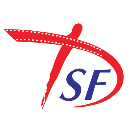Tập tin:DSF Vietnam logo.png