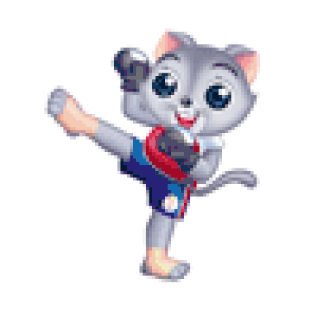 Tập_tin:SEA_Games_2007-Muay_Thai.gif