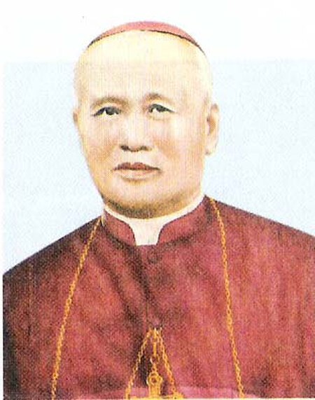 Gioan Baotixita Nguyễn Bá Tòng