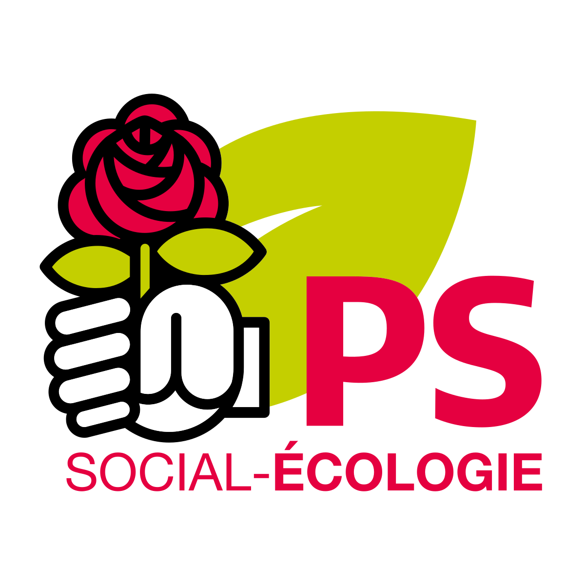 Đảng Xã hội (Pháp) – Wikipedia tiếng Việt