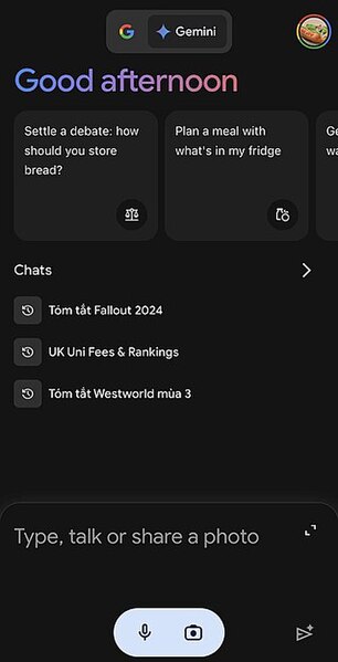 Tập tin:Google Gemini Screenshot.jpeg
