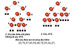 Hình thu nhỏ cho Cây AVL
