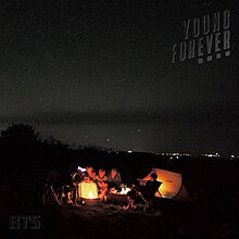 The Most Beautiful Moment In Life Young Forever Night.jpg