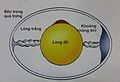 Hình xem trước của phiên bản lúc 11:48, ngày 23 tháng 11 năm 2016