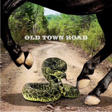 Tập_tin:Old_Town_Road_Remix_Vinyl_Cover.jpg