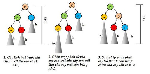 Cây AVL – Wikipedia tiếng Việt