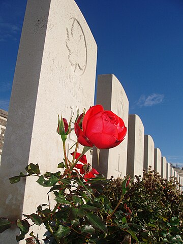 Tyne Cot cemetery