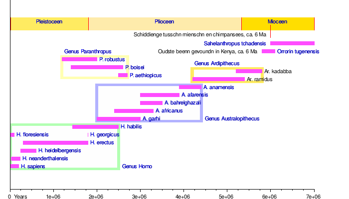 Evoluusje Van Den Miens