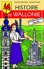 Histoire De Wallonie, Le Point De Vue Wallon