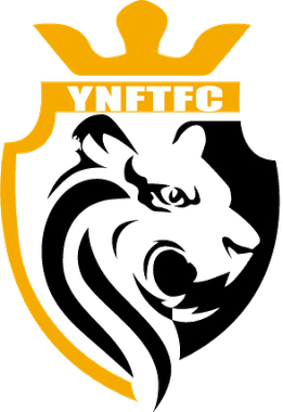 File:Yunnan Flying Tiger FC logo.png