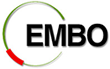 EMBO Logo.png