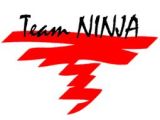 Team Ninja logo.jpg