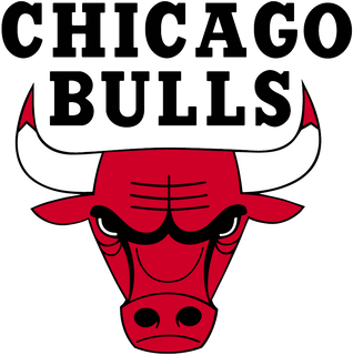 File:Chicago Bulls.png