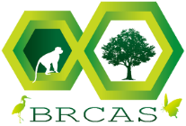 File:Brcas logo.png