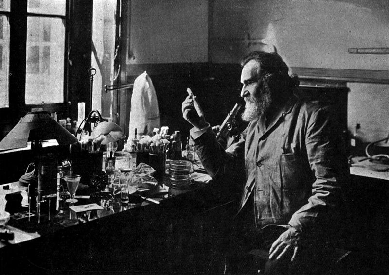 File:Dr Metchnikoff in his Laboratory.jpg