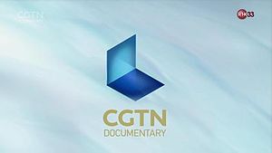 CGTN Documentary.jpg
