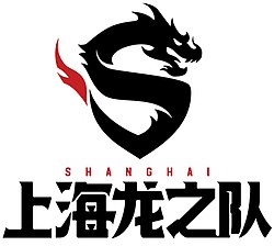 「上海龍之隊」隊標主體是風格化的中國龍圖案與英文字母「S」的結合。其中，龍圖案代表了中國，而「S」則代表了上海。