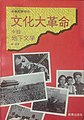 2019年1月14日 (一) 00:30版本的缩略图