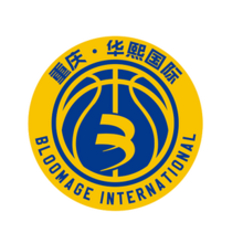 重庆华熙国际 logo