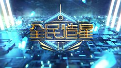 全民造星Ii: 簡介, 比賽進程, 總決賽