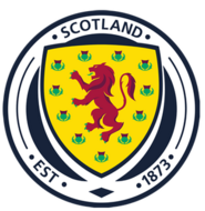 Shirt badge/Association crest