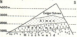 Höhengürtel der Alpen.