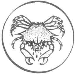 File:OuroborosCrab.jpg