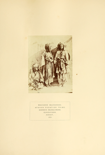 File:The People of India — a series of photographic illustrations, with descriptive letterpress, of the races and tribes of Hindustan Vol 5.djvu-141.png