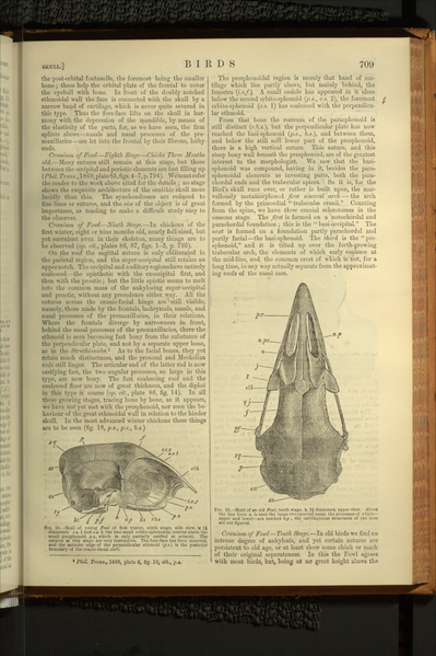 File:Encyclopædia Britannica, Ninth Edition, v. 3.djvu-727.png