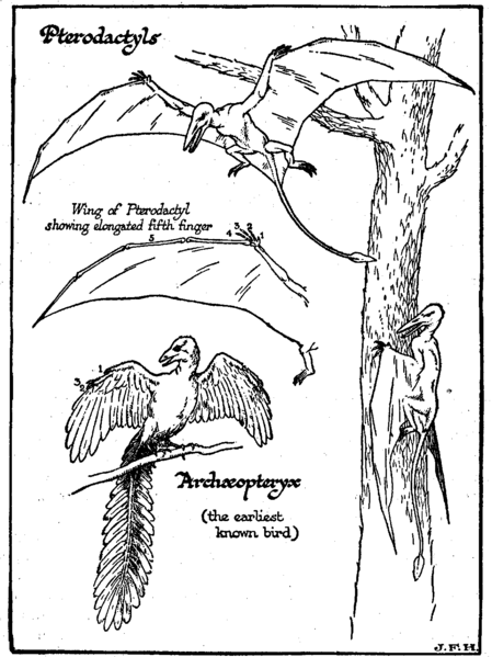 File:Page 045 (Vol. 1 - The Outline of History, H.G. Wells).png