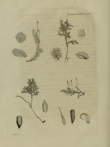 File:Transactions of the Linnean Society of London, Volume 9.djvu-342.png