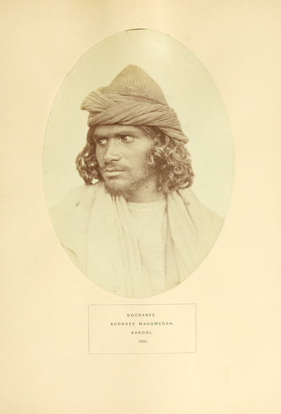 File:The People of India — a series of photographic illustrations, with descriptive letterpress, of the races and tribes of Hindustan Vol 5.djvu-181.png