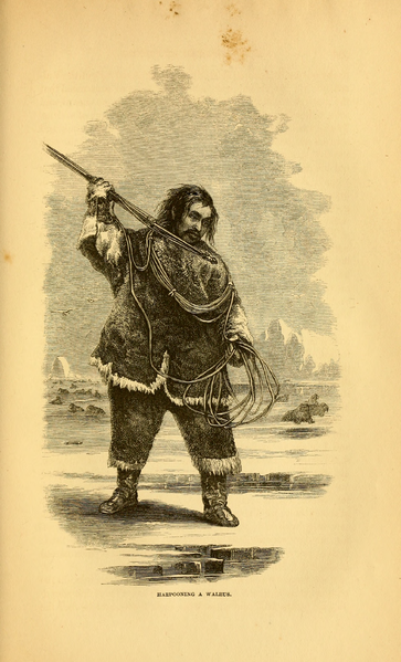 File:Arctic Researches, And Life Amongst the Esquimaux - 1865.djvu-513.png