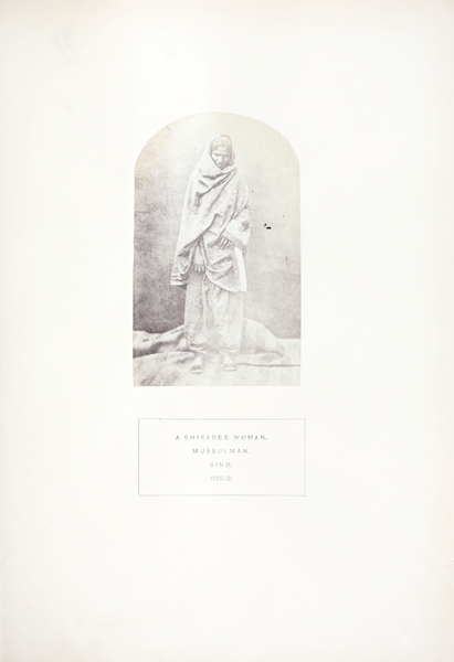 File:The People of India — a series of photographic illustrations, with descriptive letterpress, of the races and tribes of Hindustan Vol 6.djvu-231.png