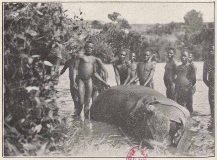 Fichier:Maurice Pescatore - Chasses et voyages au Congo, 1932, 108b.png