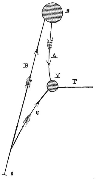 Fichier:Schéma-excitation-nerveuse.jpg