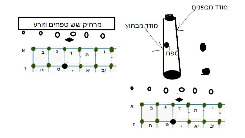 קובץ:מדידה מעיקר הגפן.jpg