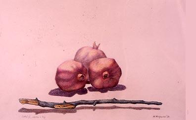 Datoteka:Mirko Marjanović, Crtež 5,a olovka u boji, 1991., 34X48 cm 5.jpg