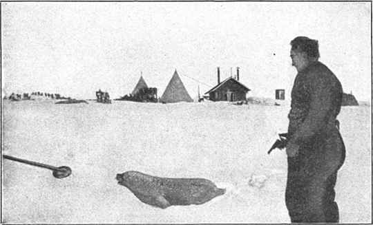 Fil:Amundsen,Roald-Sydpolen I-1912-p341.jpg