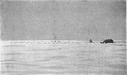Fil:Amundsen,Roald-Sydpolen I-1912-p381.jpg
