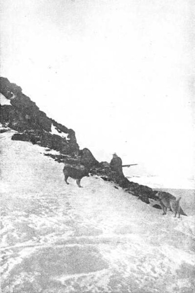 Fil:Amundsen,Roald-Sydpolen II-1912-p051.jpg