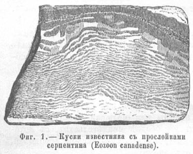Файл:Hatchinson g n text 1890 autobiography of the earth-oldorfo h03.jpg