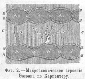 Файл:Hatchinson g n text 1890 autobiography of the earth-oldorfo h04.jpg