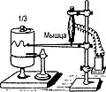 Миниатюра для версии от 08:20, 23 апреля 2022