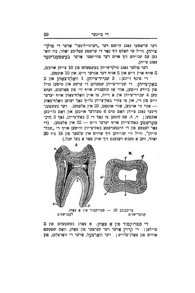 טעקע:פיזיאלאגיע.djvu