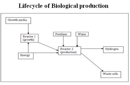 File:Lifecyclebiological.JPG