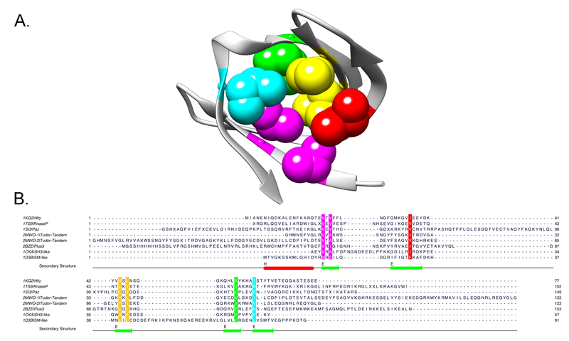 File:Small barrels hydrophobic core Fig2.png