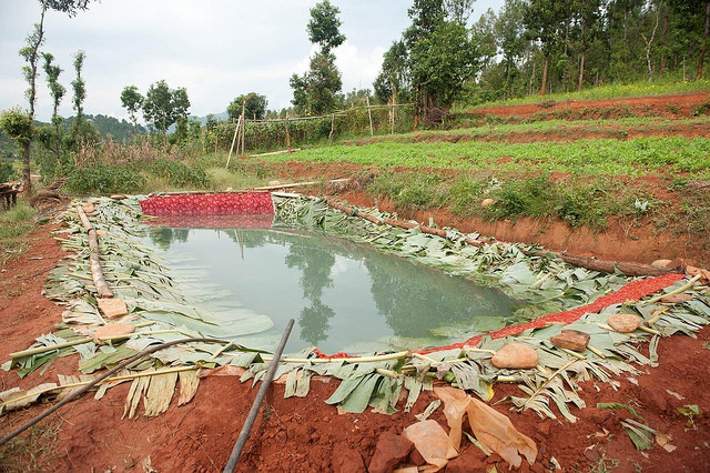File:Water pond constructed by farmers, Nepal.jpg